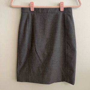 Ann Taylor Skirt